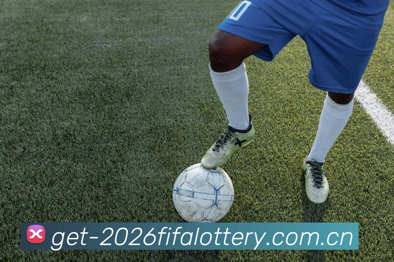 FIFA官方彩票数据授权证书